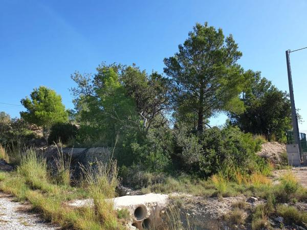 Terreno en Partida Benimarraig
