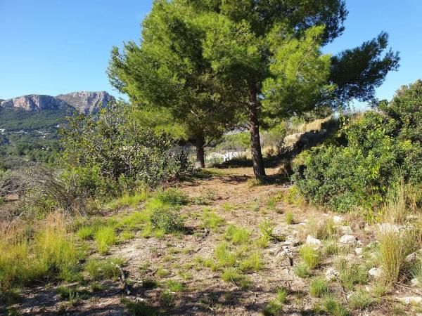 Terreno en Partida Benimarraig