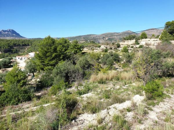 Terreno en Partida Benimarraig