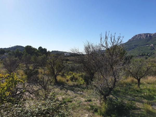 Terreno en Partida Benimarraig