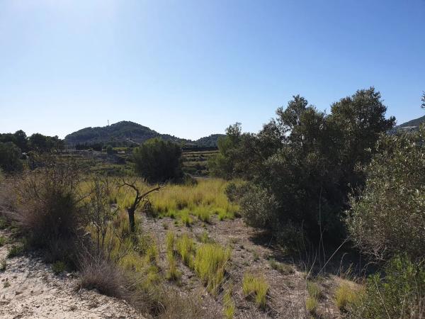 Terreno en Partida Benimarraig