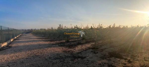 Terreno en La Hoya-Daimes-El Derramador