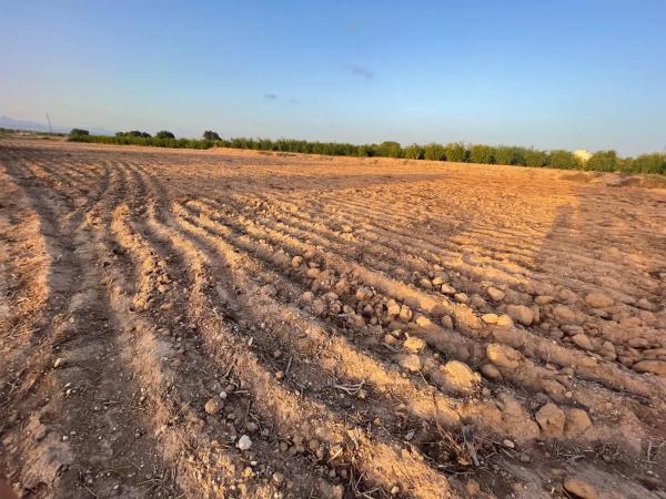Terreno en La Hoya-Daimes-El Derramador