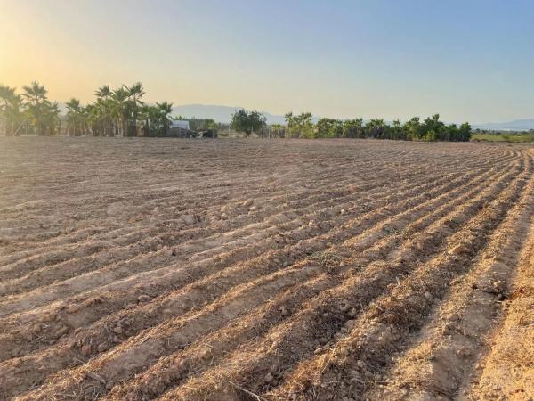 Terreno en La Hoya-Daimes-El Derramador