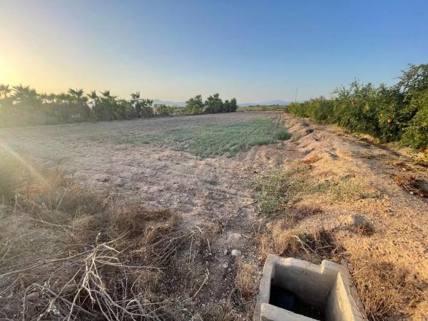 Terreno en La Hoya-Daimes-El Derramador