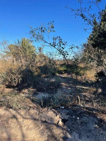 Terreno en La Marina