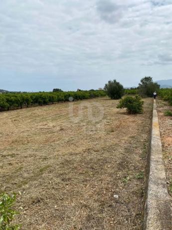 Terreno en Benidoleig