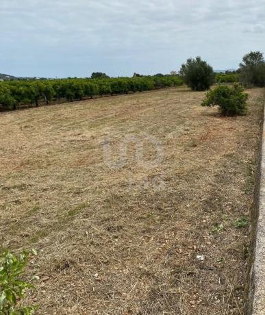 Terreno en Benidoleig