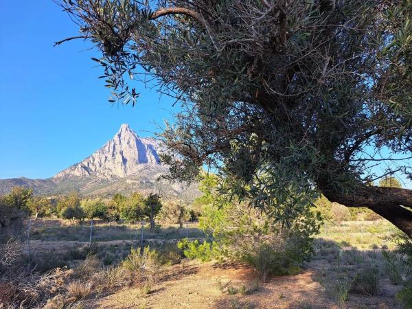 Terreno en Finestrat Pueblo