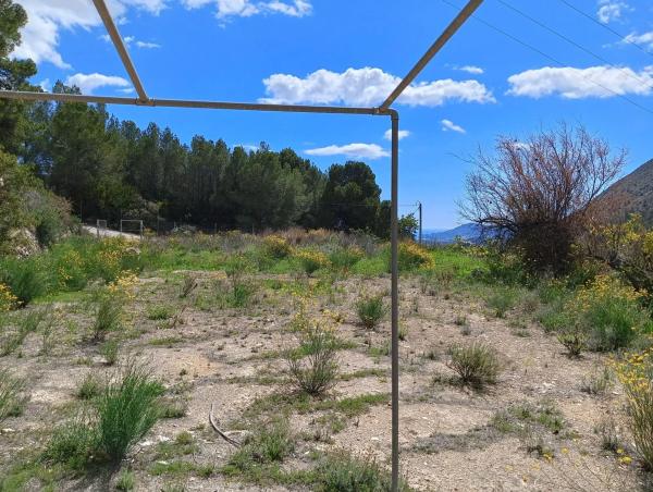 Terreno en Callosa d'En Sarria