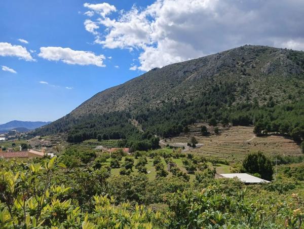 Terreno en Callosa d'En Sarria