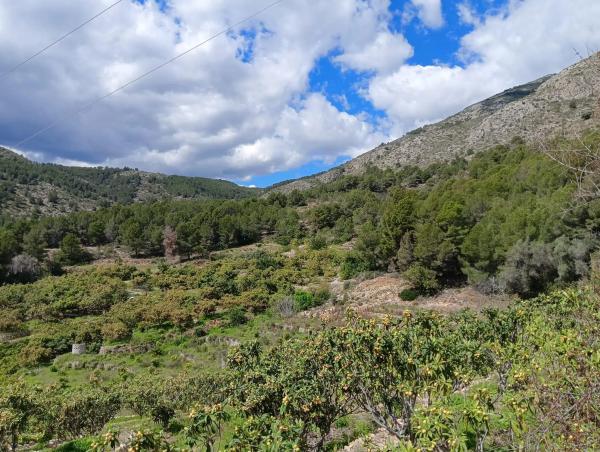 Terreno en Callosa d'En Sarria