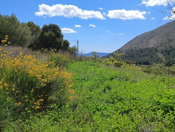 Terreno en Callosa d'En Sarria