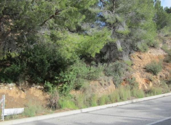 Terreno en ronda de la Marina