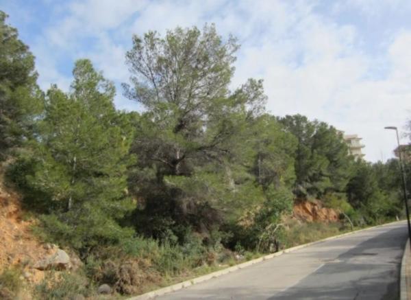 Terreno en ronda de la Marina
