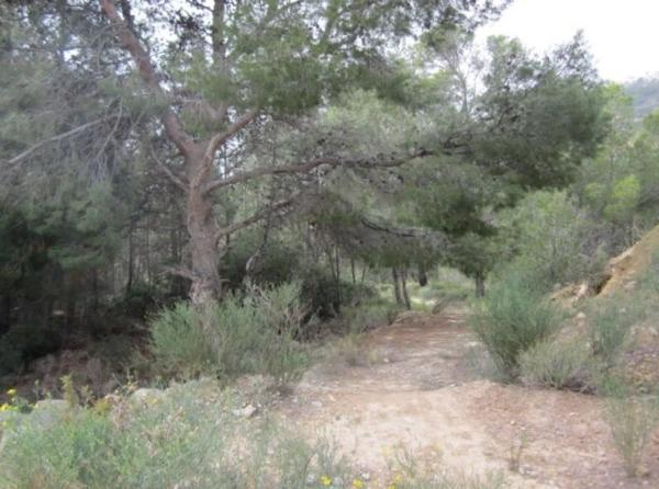Terreno en ronda de la Marina