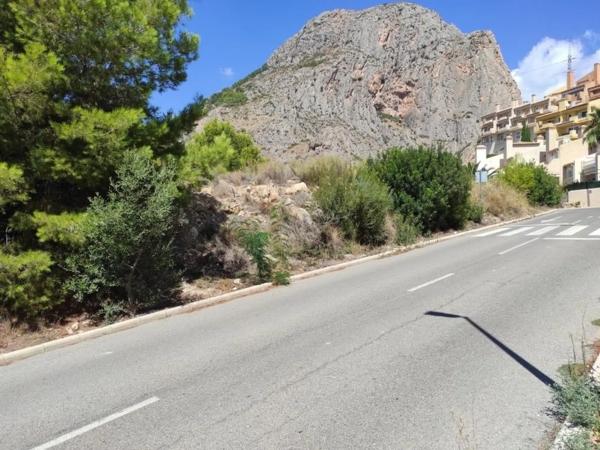 Terreno en ronda de la Marina