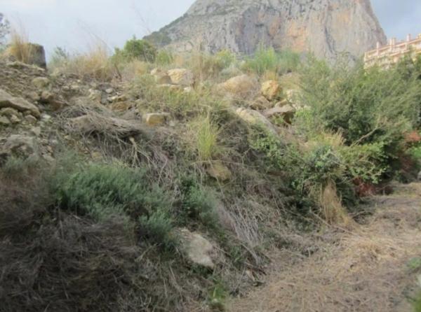 Terreno en ronda de la Marina