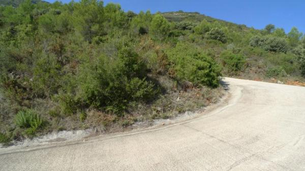 Terreno en Benichembla