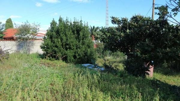 Terreno en El Montgó