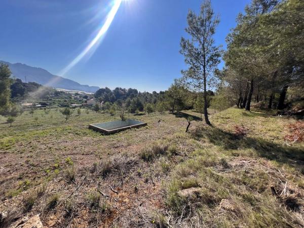Terreno en Partida Rompuda