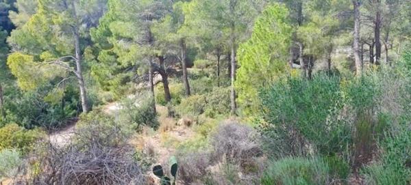 Terreno en Altea Hills