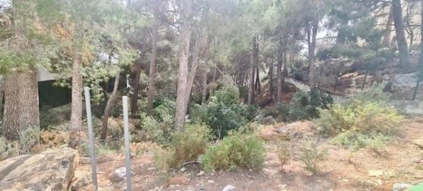 Terreno en calle la Guatla