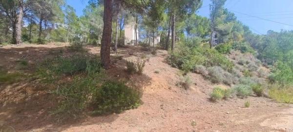 Terreno en calle la Guatla