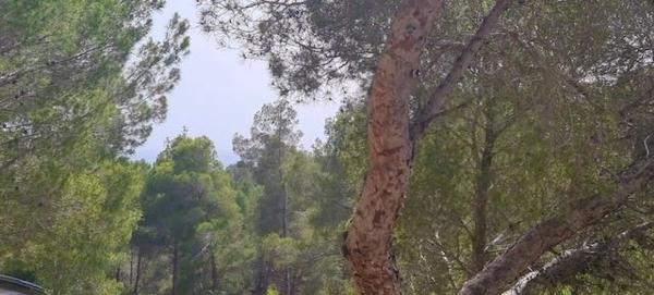 Terreno en calle la Guatla