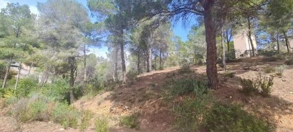 Terreno en calle la Guatla