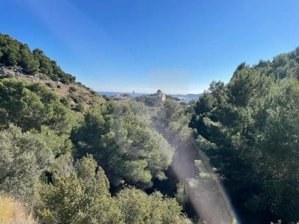 Terreno en Centro Ciudad