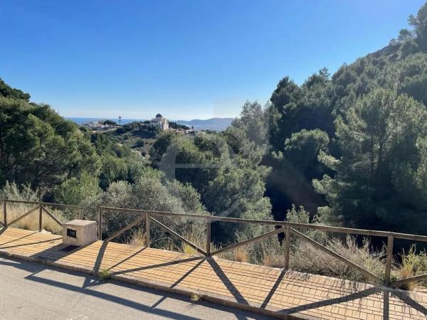 Terreno en Centro Ciudad