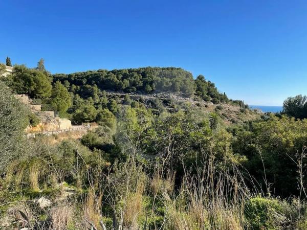 Terreno en Centro Ciudad