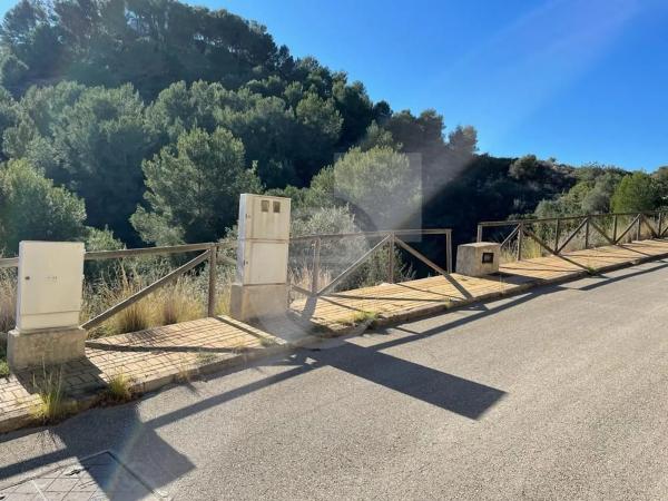 Terreno en Centro Ciudad