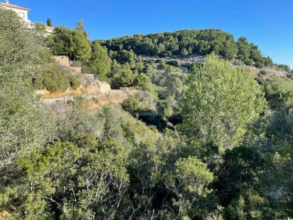 Terreno en Centro Ciudad