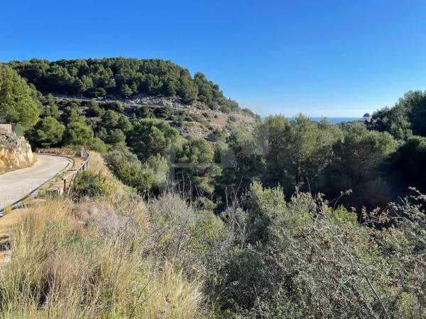 Terreno en Centro Ciudad