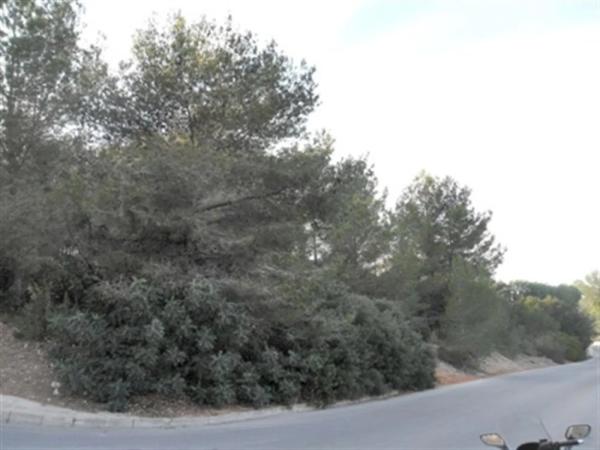 Terreno en Pedreguer