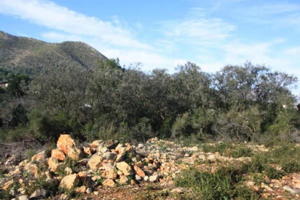 Terreno en Llíber