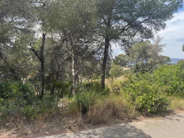 Terreno en calle del Milà, 103