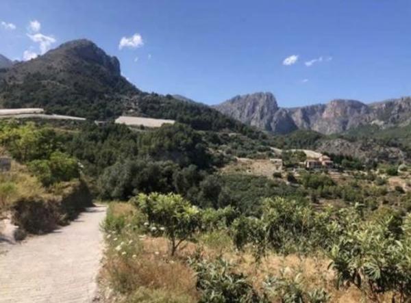 Terreno en calle del Calvari