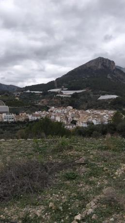 Terreno en Bolulla