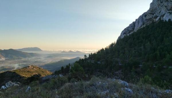 Terreno en Benichembla