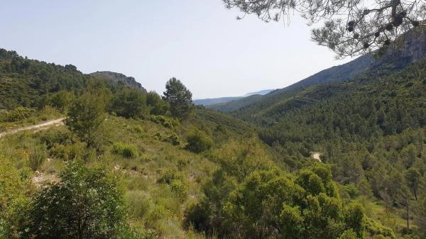 Terreno en Benichembla