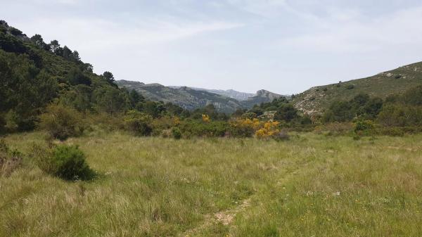 Terreno en Benichembla