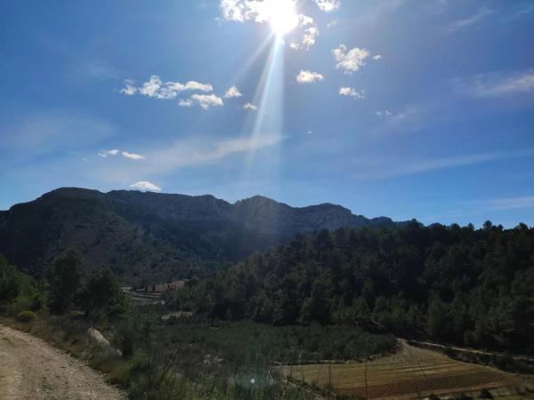 Terreno en Benichembla