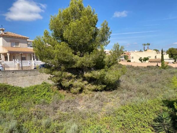 Terreno en calle la Iruela