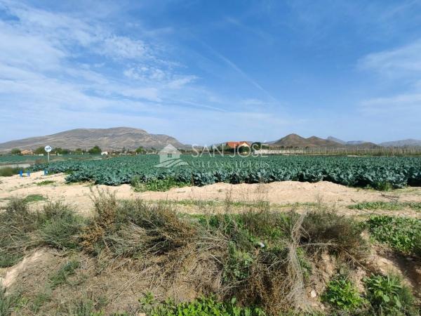 Terreno en Monforte del Cid
