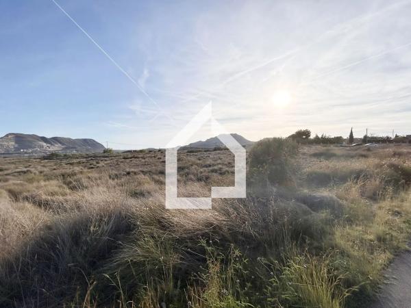 Terreno en calle Aucuba-ermita s Jaime, 20 a