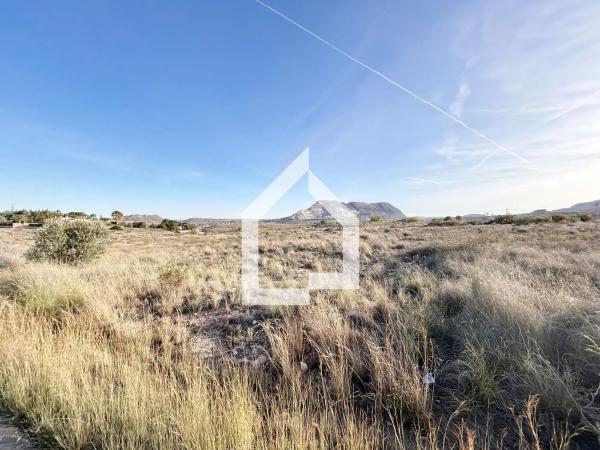 Terreno en calle Aucuba-ermita s Jaime, 20 a