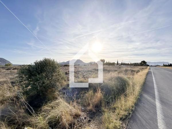 Terreno en calle Aucuba-ermita s Jaime, 20 a